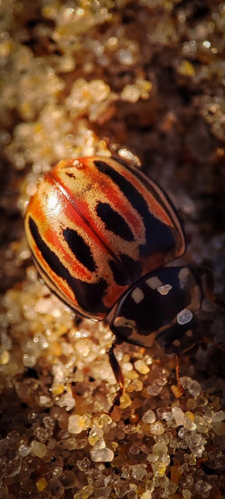 Photograph by Оркина Ксения