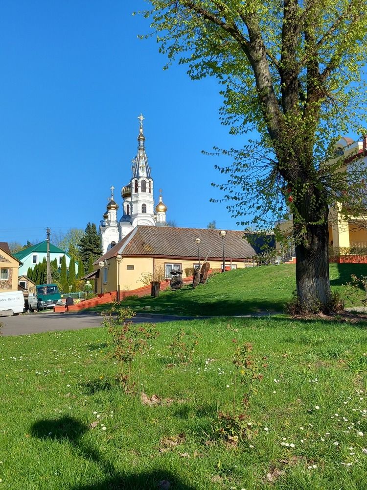 Фотография автора Анастасия Овсянникова