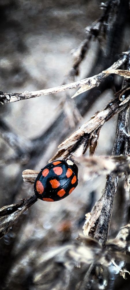 Photograph by Оркина Ксения