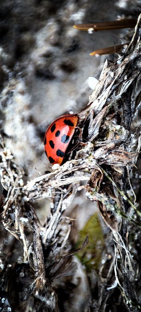 Photograph by Оркина Ксения