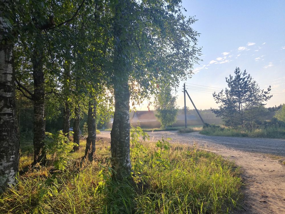 Photo #13207284