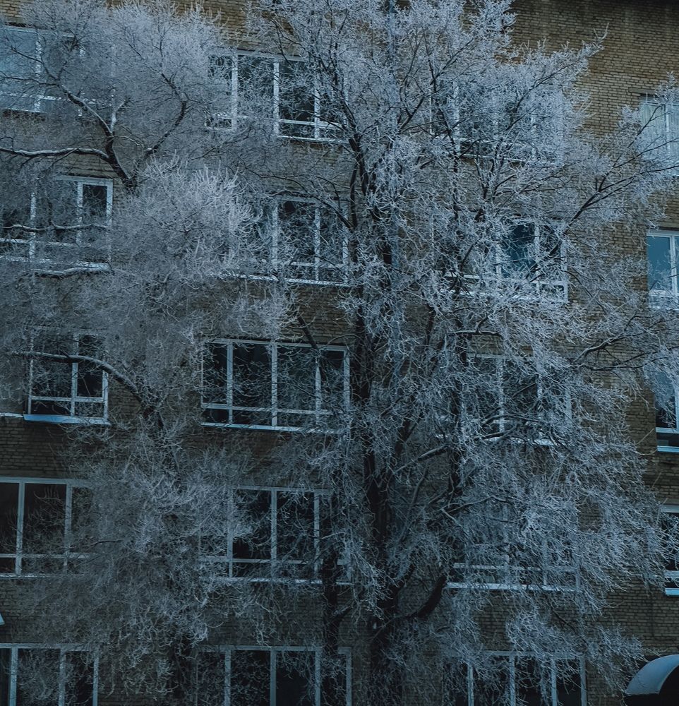 Фотография автора Бороздина Мария