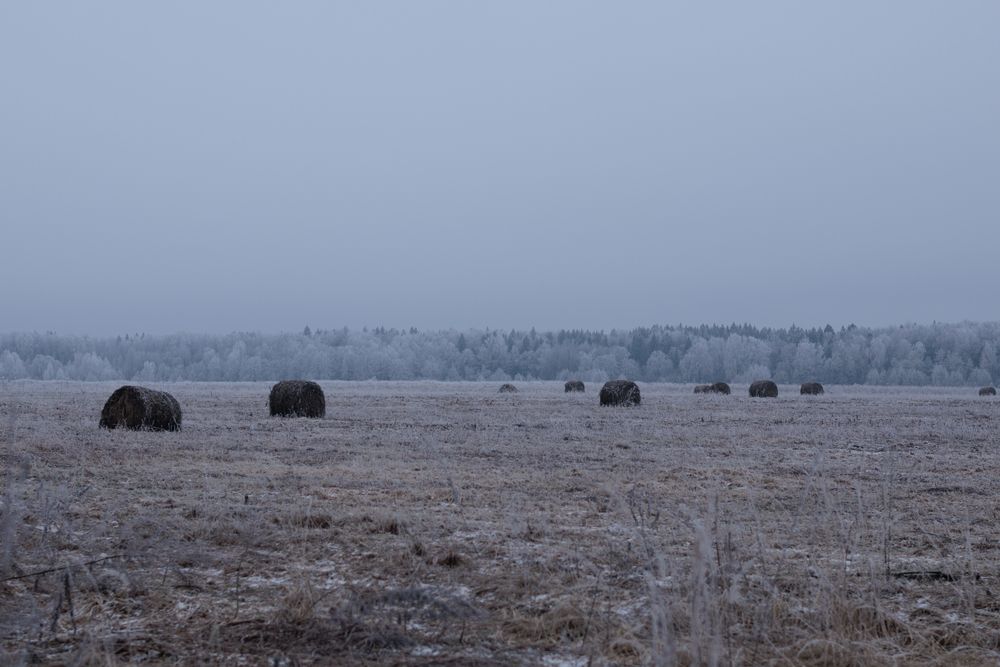 Фотография автора Дмитрий Корягин