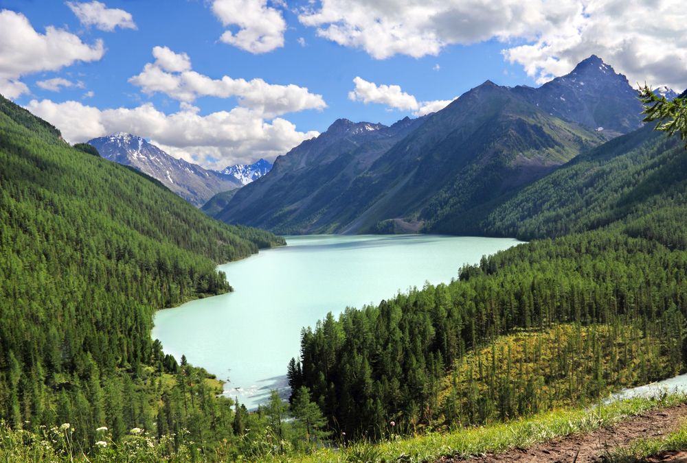 Фотография автора Кухта Мария