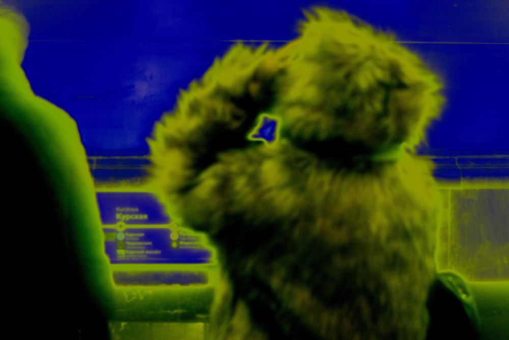 Photograph by Татьяна Дубовицкая