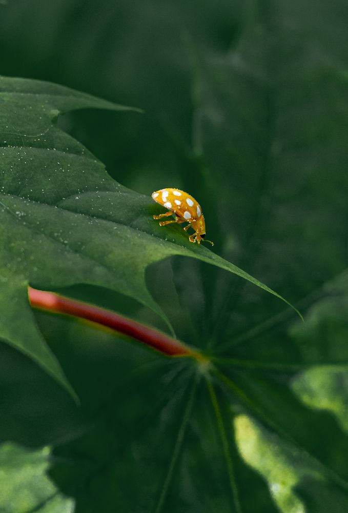 Photograph by Дмитрий Корягин