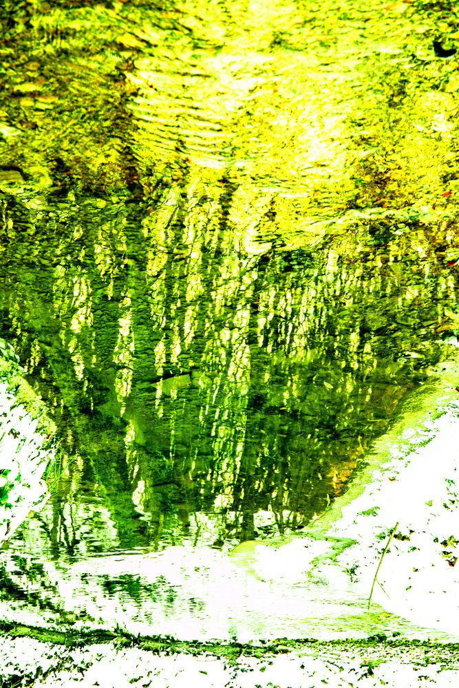 Photograph by Татьяна Дубовицкая