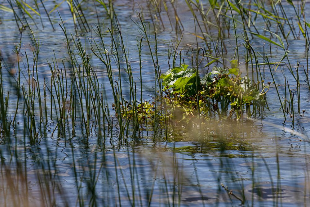 Фотография автора Ирина Гриценко