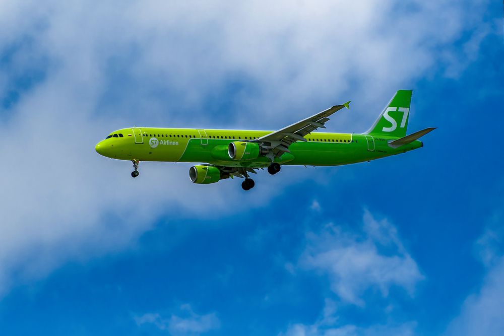 Фотография автора Александр Перегудов