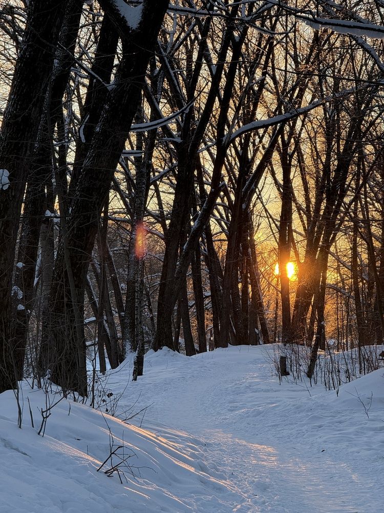 Photograph by Алиса Чугунова