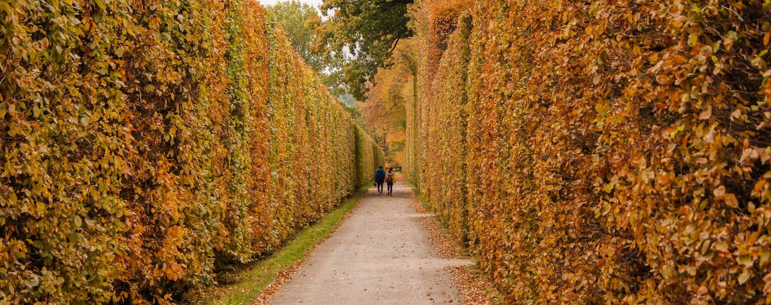 Фотография #13207448