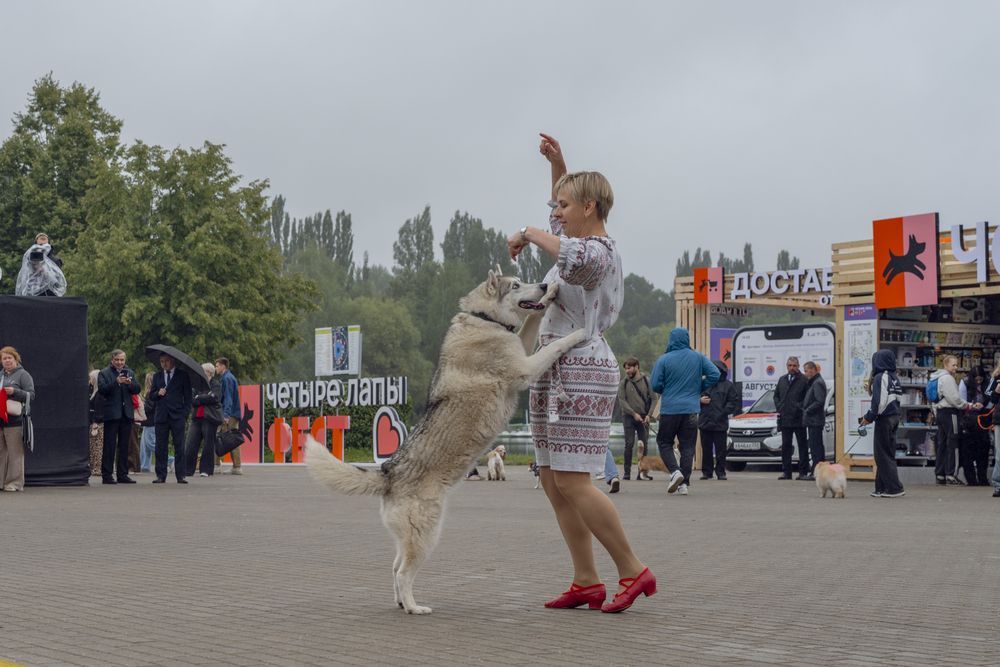 Photograph by Милена Полтавец