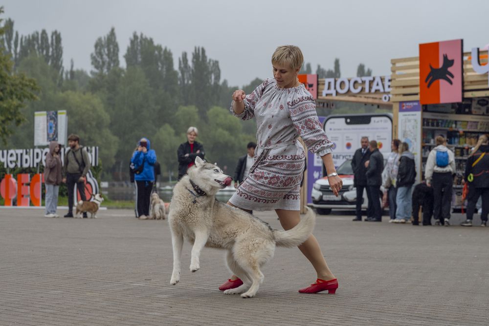 Photograph by Милена Полтавец