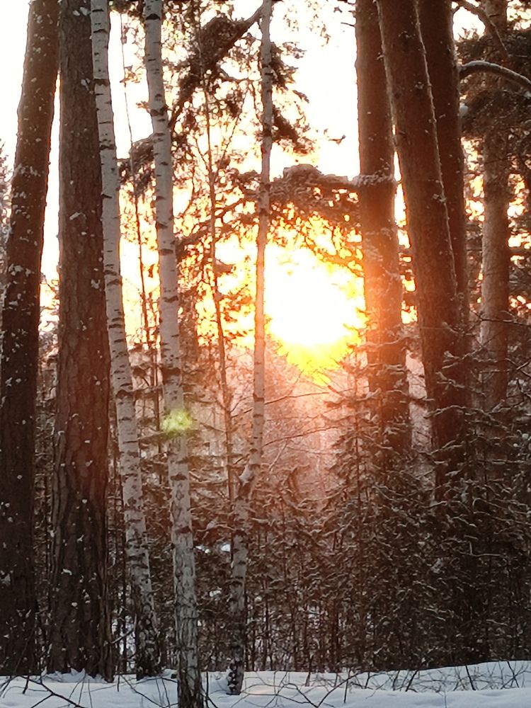 Photograph by Екатерина Чеснокова