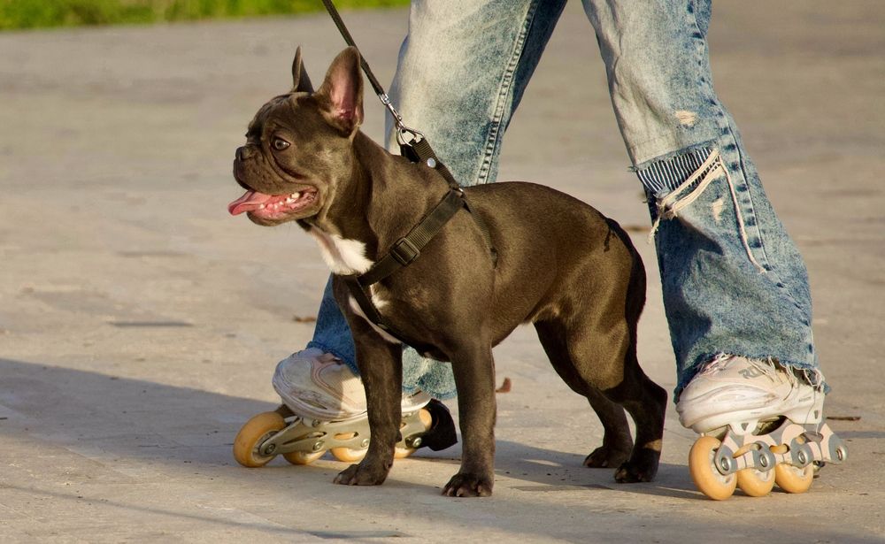 Photograph by Борис Захаров