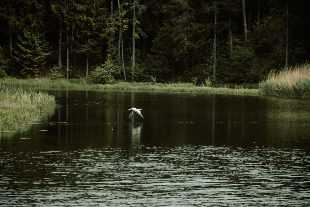 Photograph by Крутяков Арсений