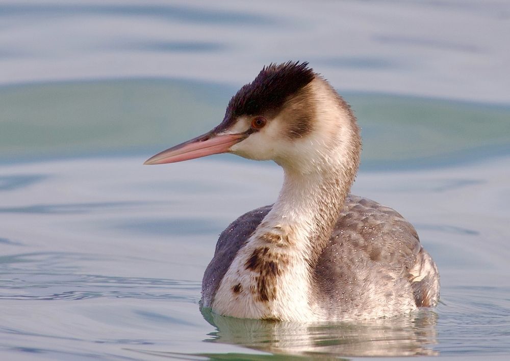 Photograph by Борис Захаров