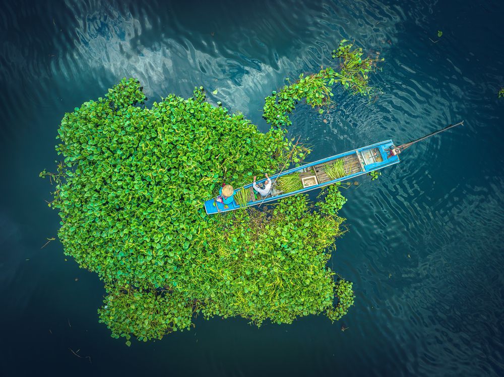 Photograph by Tran Phuong