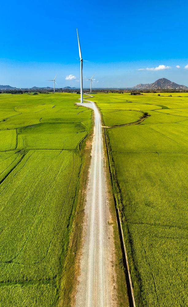 Photograph by Tran Phuong
