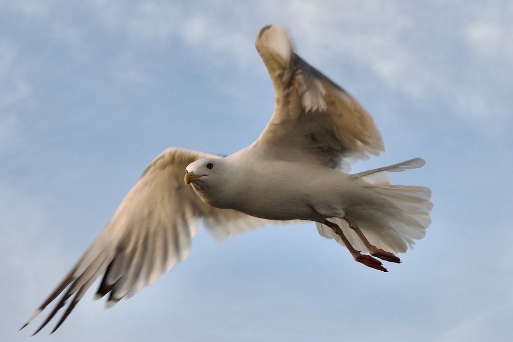 Photograph by Сергей Мур