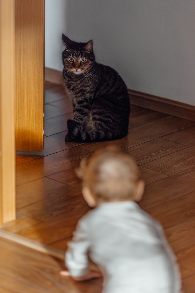 Photograph by Перепёлкина Анастасия