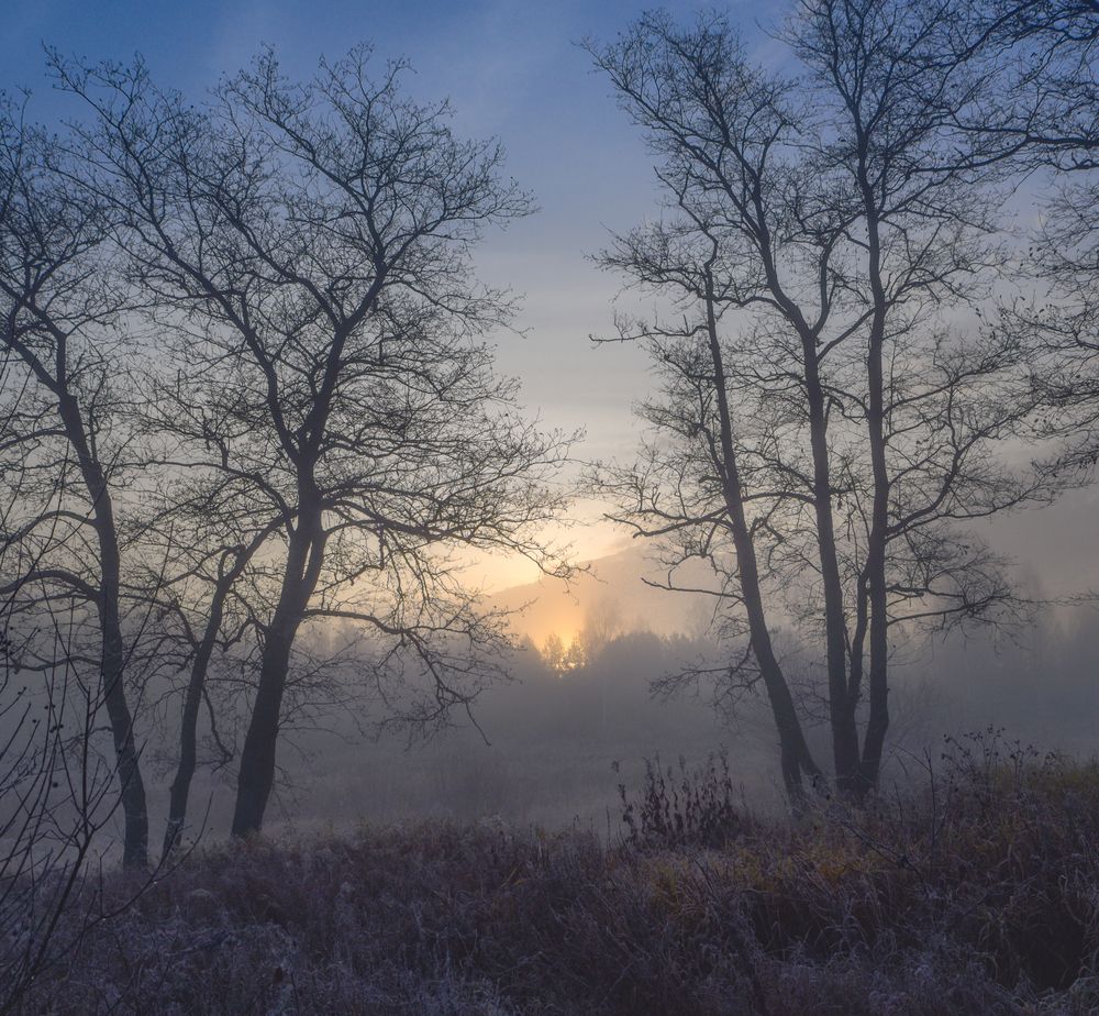 Photograph by Вячеслав Куртенков