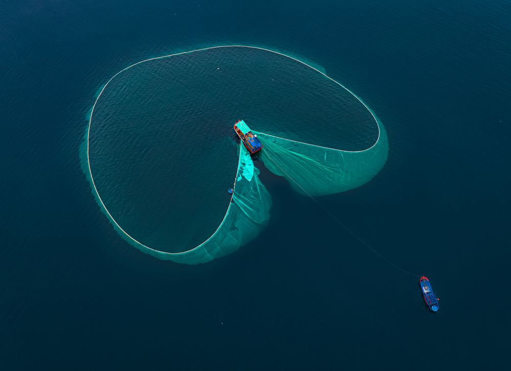 Photograph by Tran Phuong