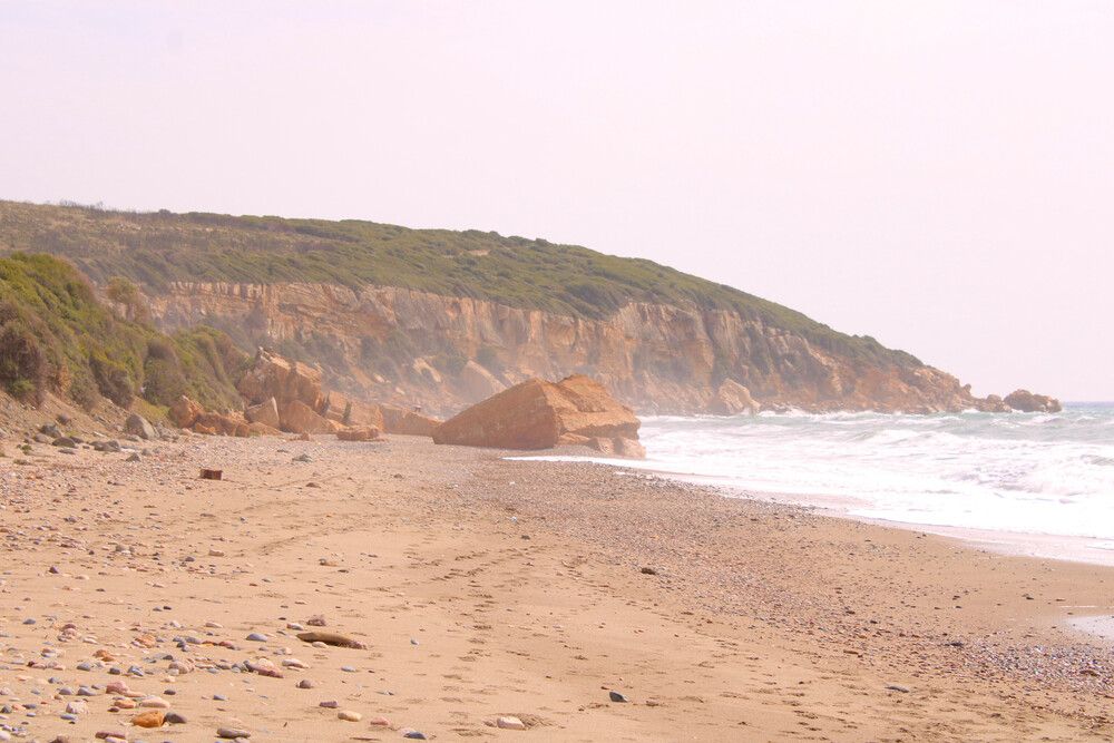 Petrota.