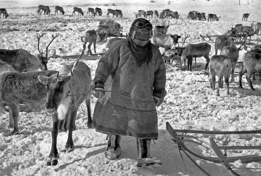 Photograph by Георгий Волков