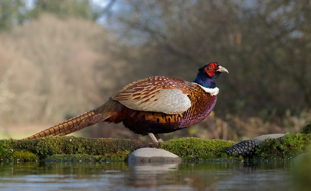 Photograph by MARIA KULA