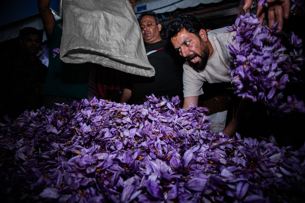 Photograph by seyed mostafa yousefi