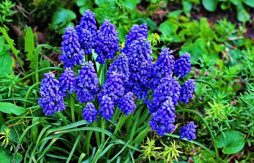 Photograph by Виталий Симоненков