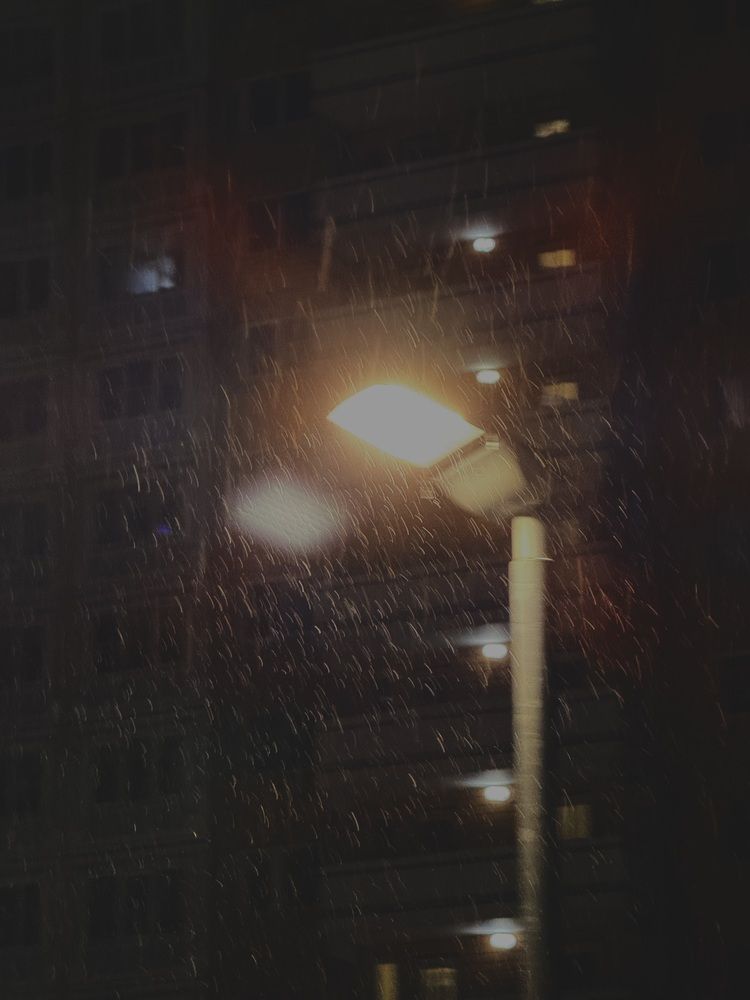 Photograph by Pavlova Maria