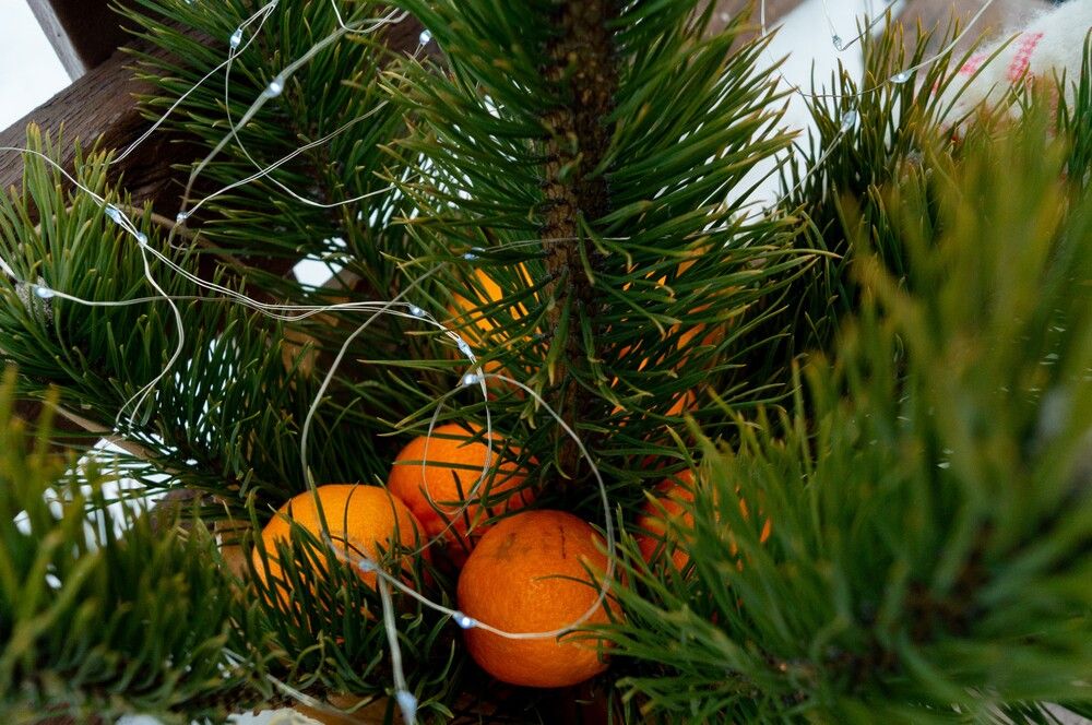 Photograph by Ирина Филиппова