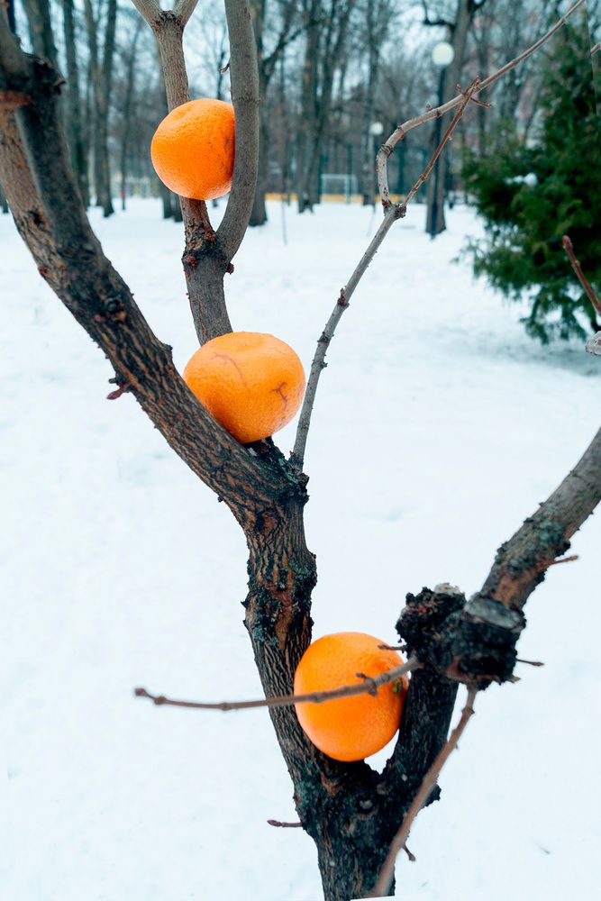 Photograph by Ирина Филиппова