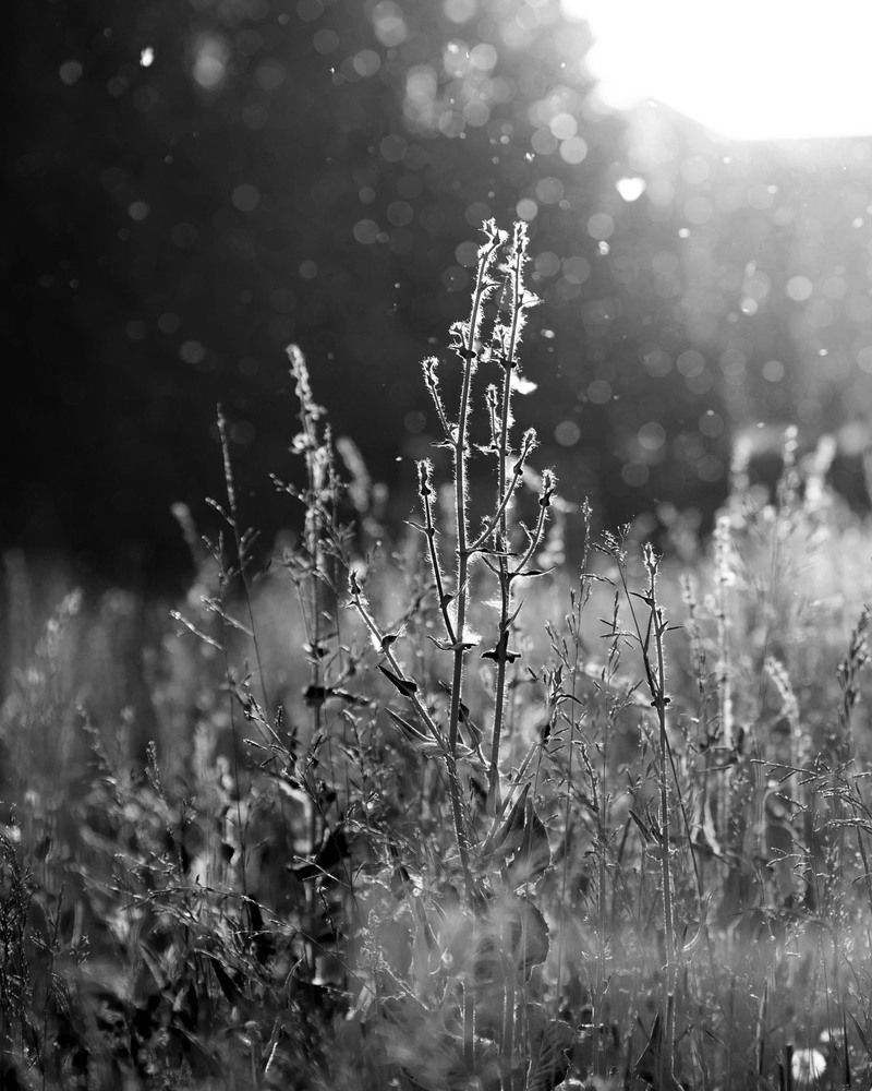 Photograph by Екатерина Бережная