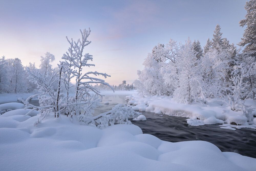 Фотография автора Бушков Евгений