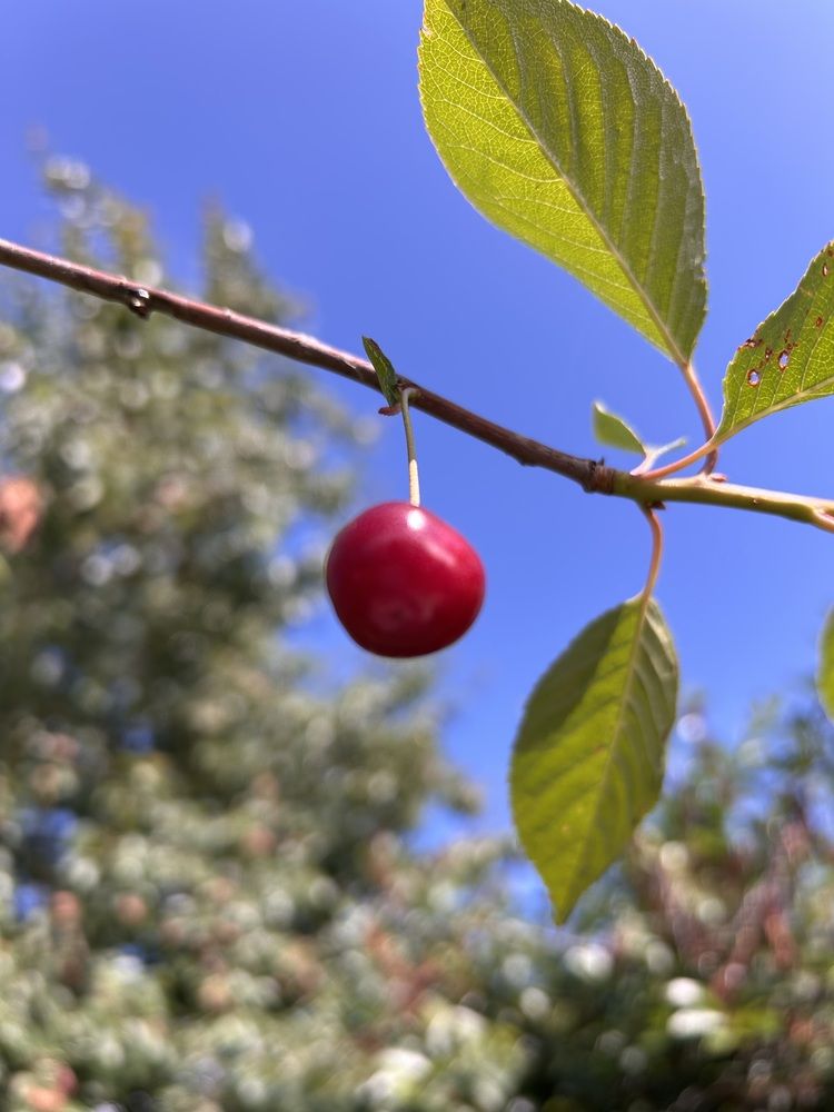 Photograph by Наталья Сафронова