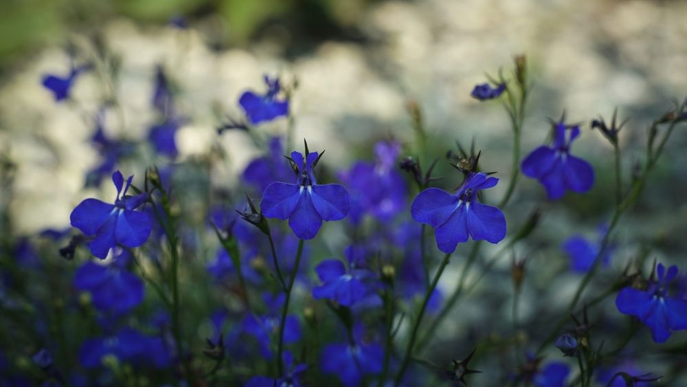 Photograph by Наталья Мубаракшина