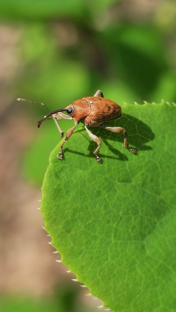 Photograph by Ольга Быстрова