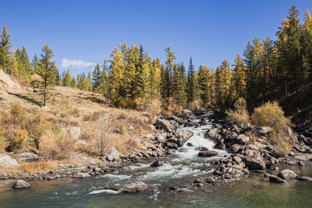Фотография автора Елена Павлова