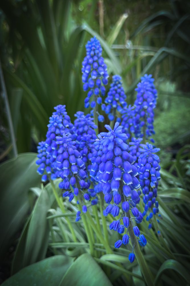 Photograph by Наталья Мубаракшина