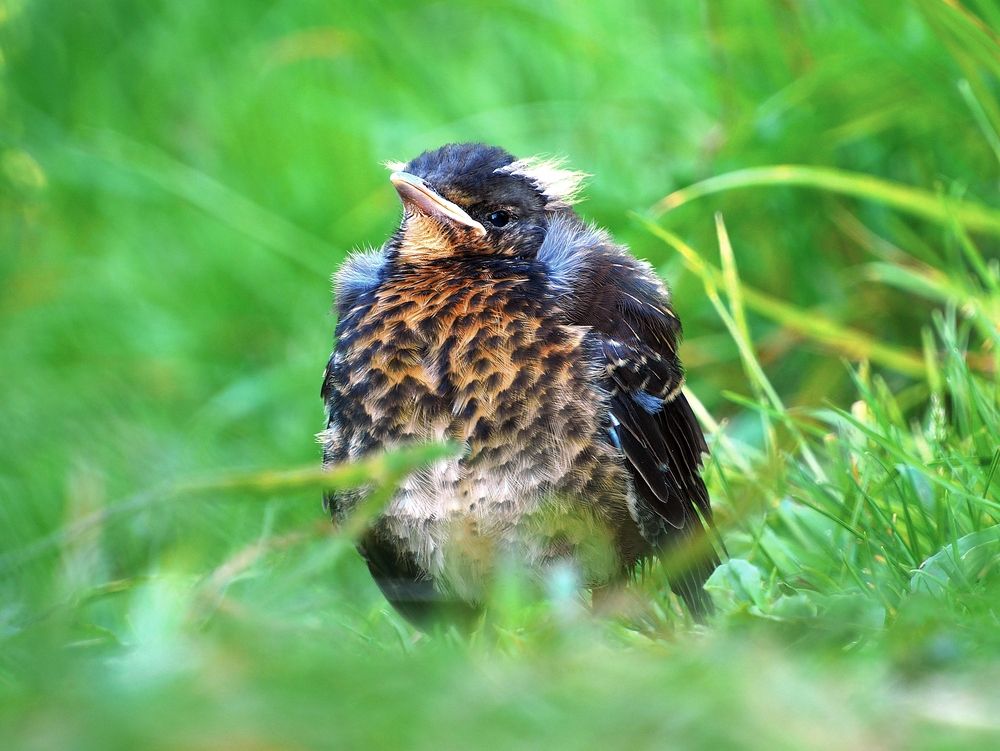 Photograph by ANDREY PERESHEIN