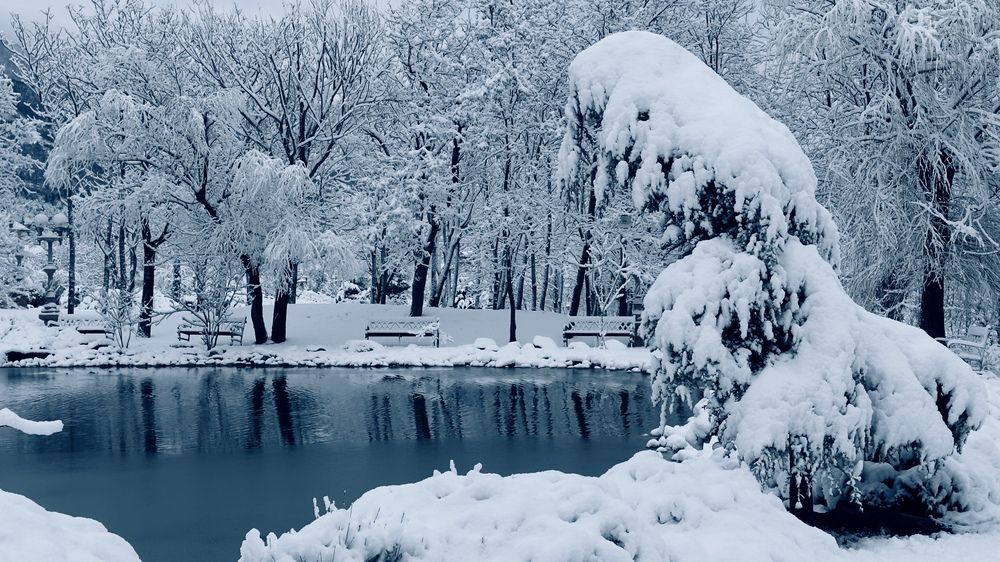 Photograph by Борис Захаров