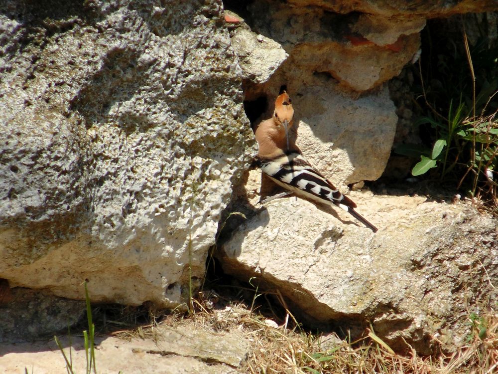 Photograph by Татьяна Стаскевич