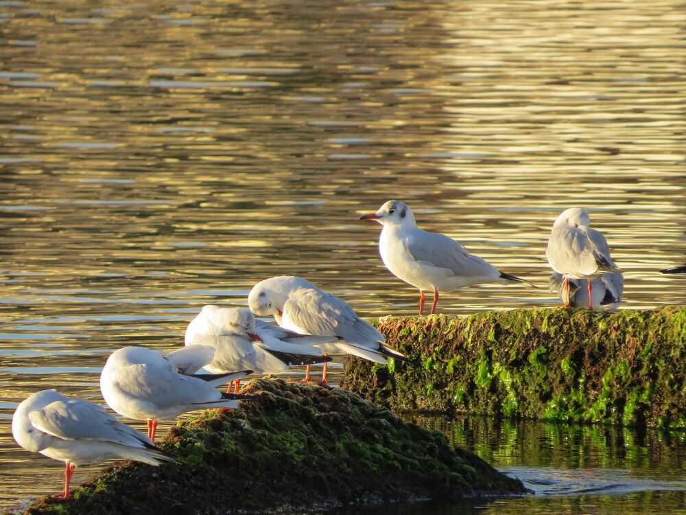 Photograph by Татьяна Стаскевич