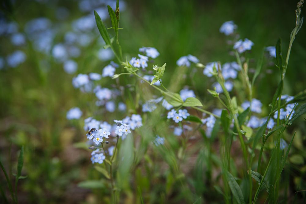 Photograph by Дарья Улюсова