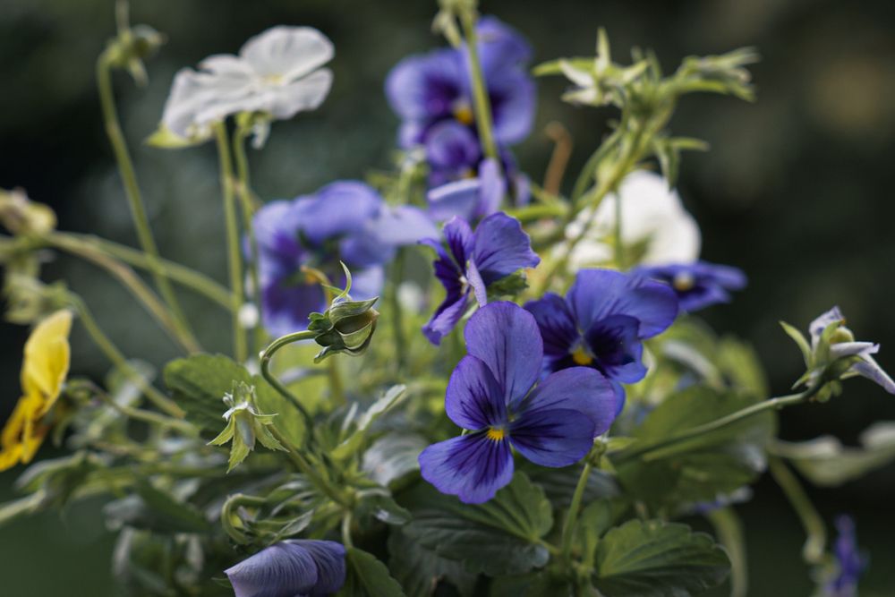 Photograph by Наталья Мубаракшина