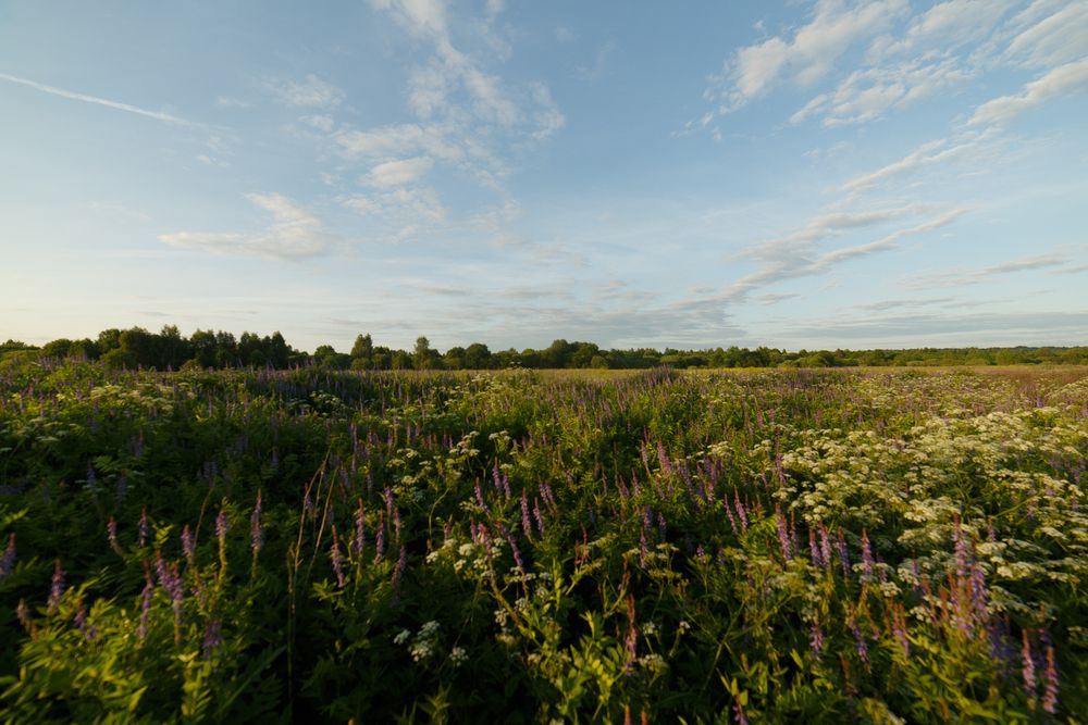 Photograph by Дарья Улюсова