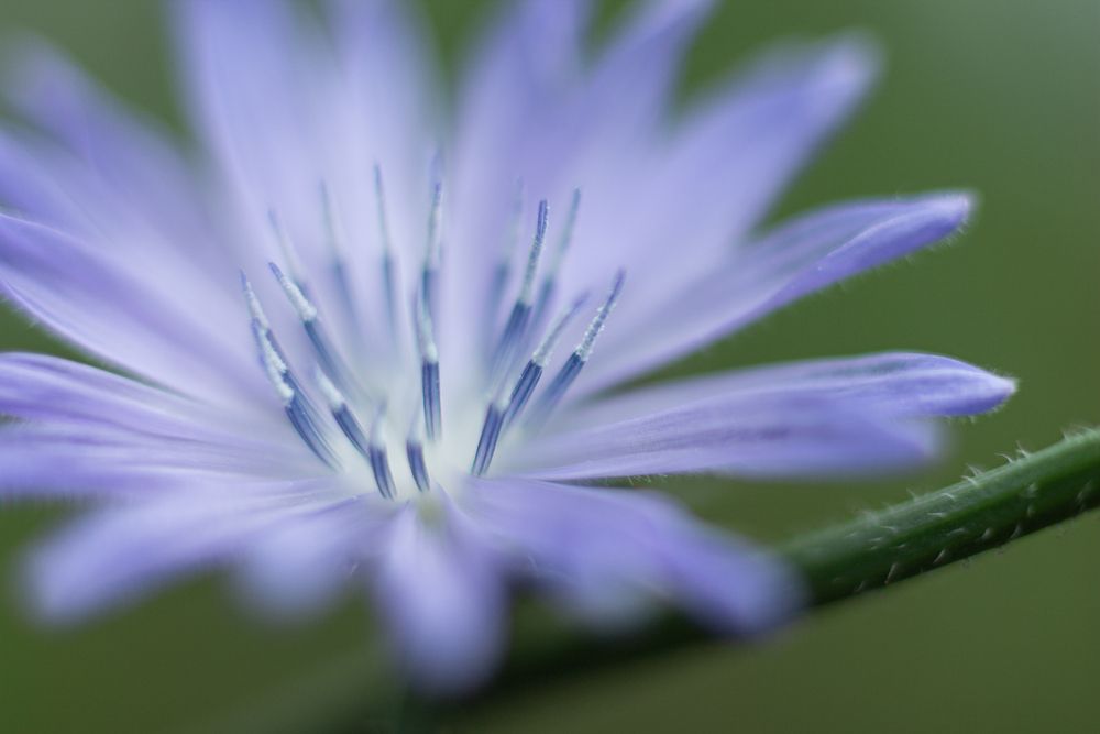 Photograph by Дарья Улюсова